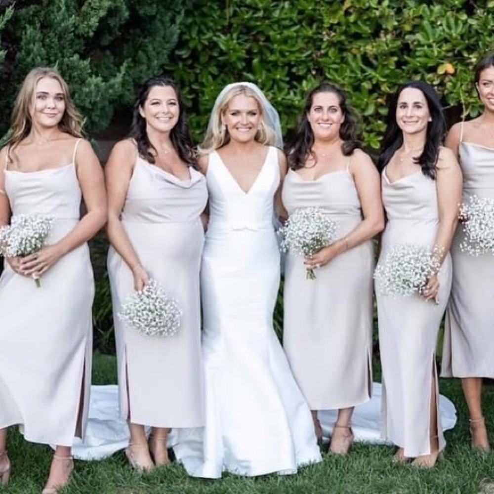 The Perfect Wedding Dress - Picture 5 of 7
